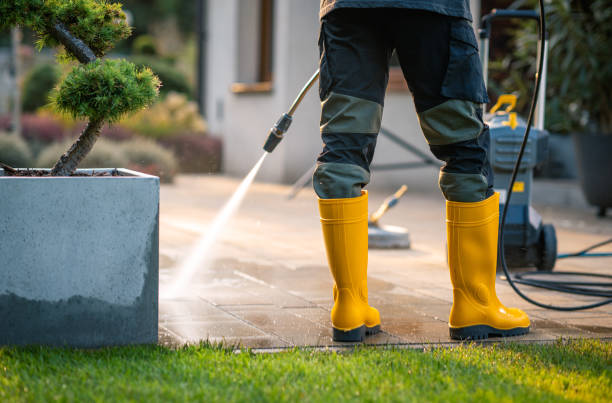 Best Residential Pressure Washing Services  in South Browning, MT